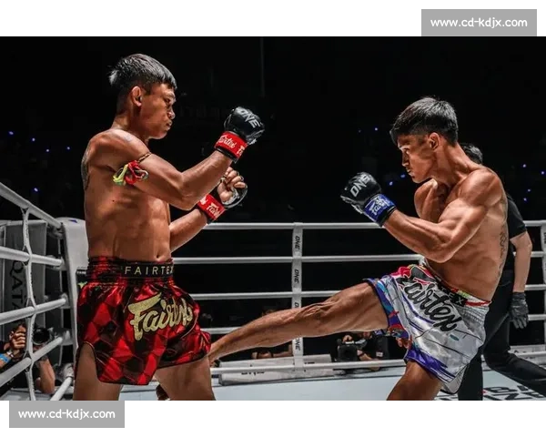 中国功夫对决泰拳传统武学与现代实战的碰撞与思考文化差异全面解读