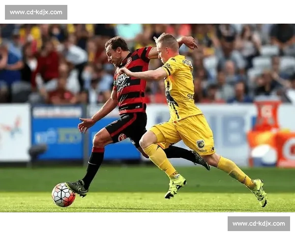 惠灵顿对阵珀斯焦点之战解析两队实力与胜负关键赛前前瞻与战术博弈